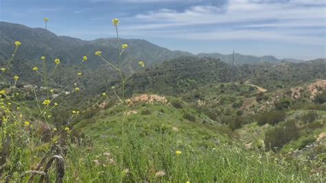 Locals worried over Verdugo Mountains luxury housing development